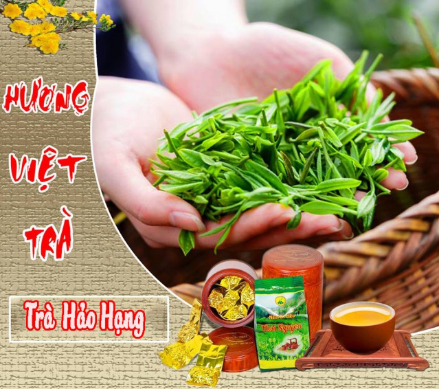 Hương Việt Trà Tân Cương Hảo Hạng 