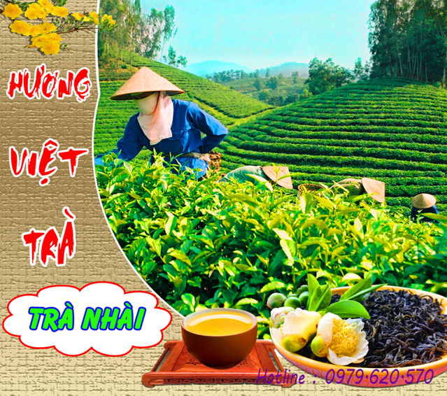 Hương Việt Trà Tân Cương Nhài Đặc Biệt 